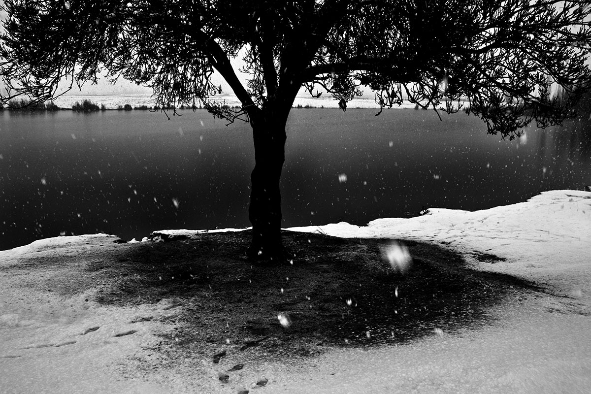 Ghasem Fathi, White Shadow, black and white photo, 50x70 cm, 2013